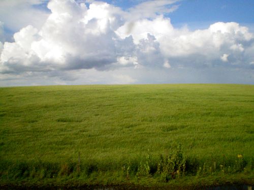 A hill covered in tall grass with large clouds covering the sky in Scotland.
