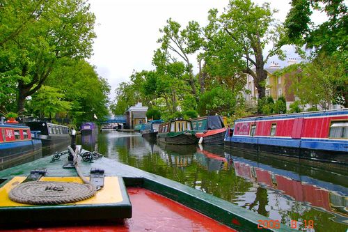 Miscellaneous-colored boats and trees with green leaves line a canal in Amsterdam