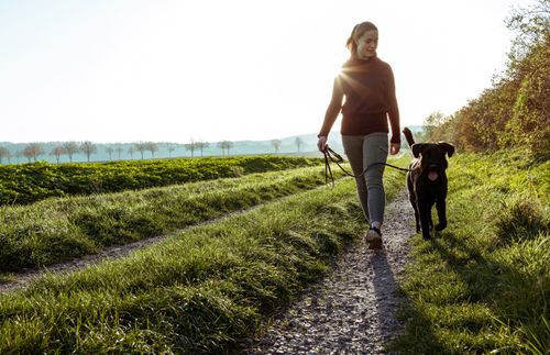 Eine junge Frau geht mit ihrem Hund auf einem Feldweg spazieren