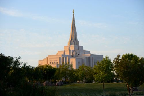 The Gilbert Arizona Temple seen from afar, with a row of green trees in the foreground and the temple’s spire in the distance.