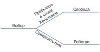 схема, выбор и последствия