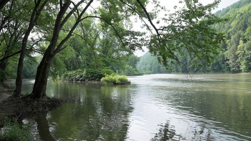 Susquehanna River