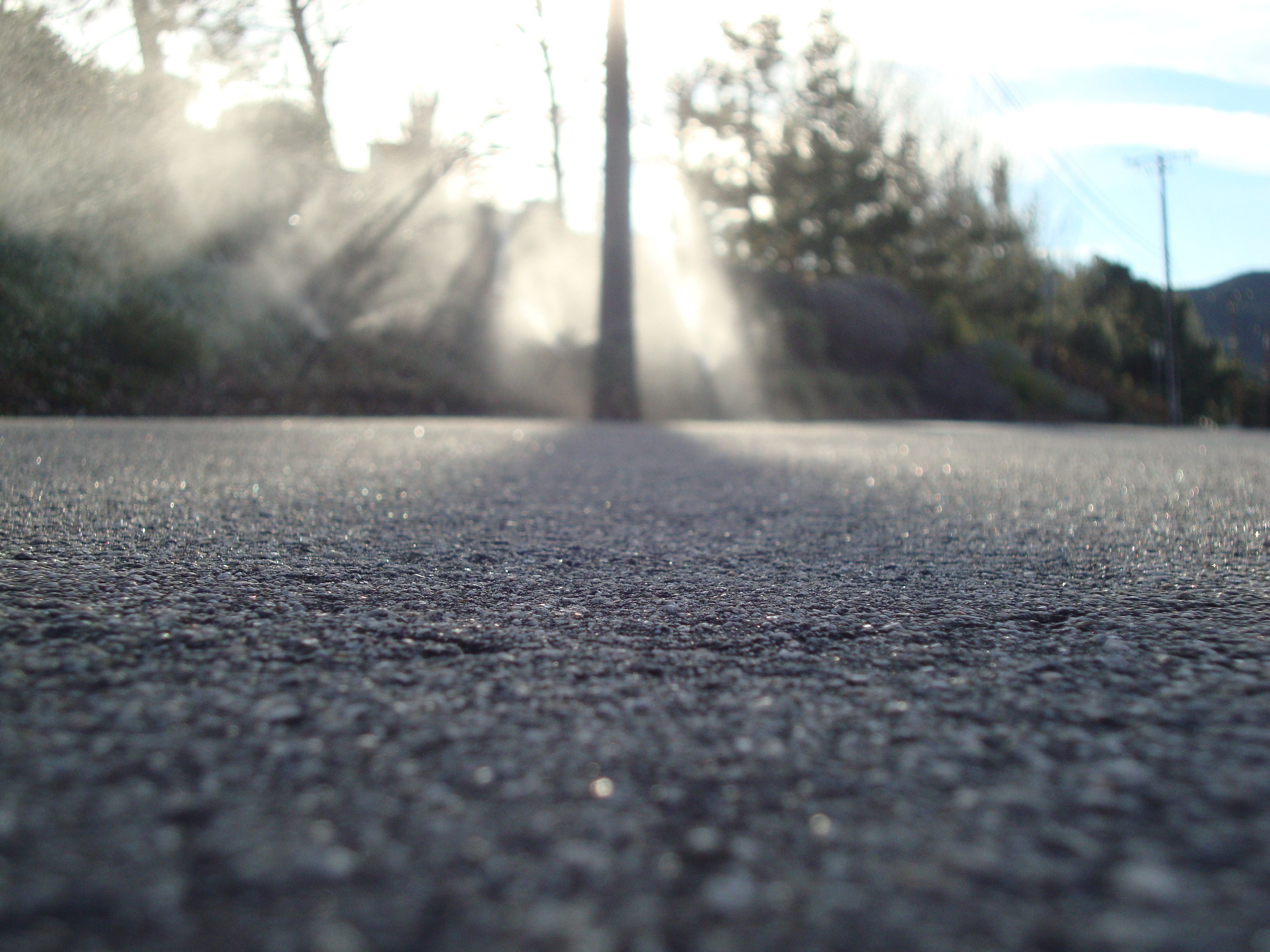 An asphalt road lit by early-morning sunlight.
