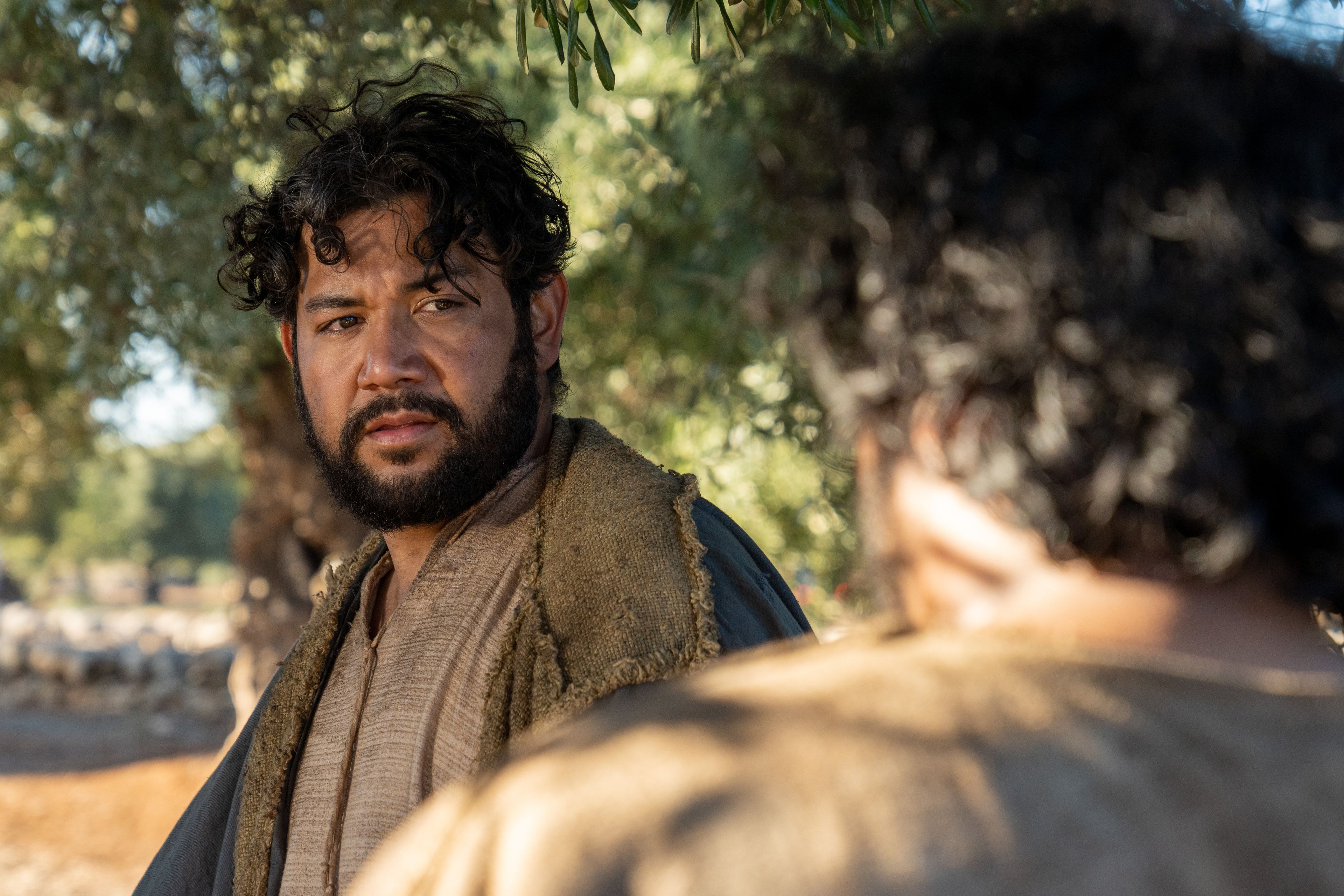 The Lord of the Vineyard speaks to his servant as they inspect the small and tender branches of the olive trees. This is part of the olive tree allegory mentioned in Jacob 5.