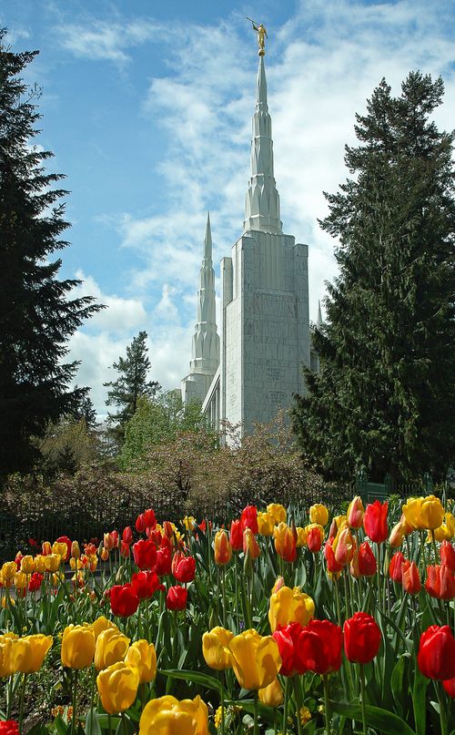 A partial view of the spires of the Portland Oregon Temple, with blooming tulips in the foreground and trees in the background.