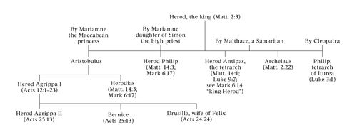 diagram of the family of Herod