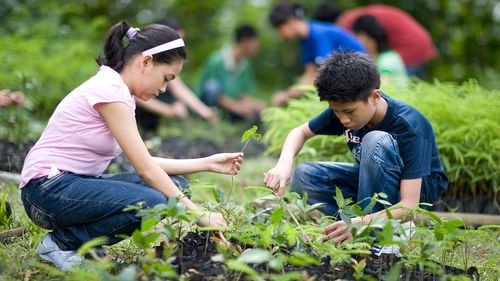 jovens fazendo jardinagem