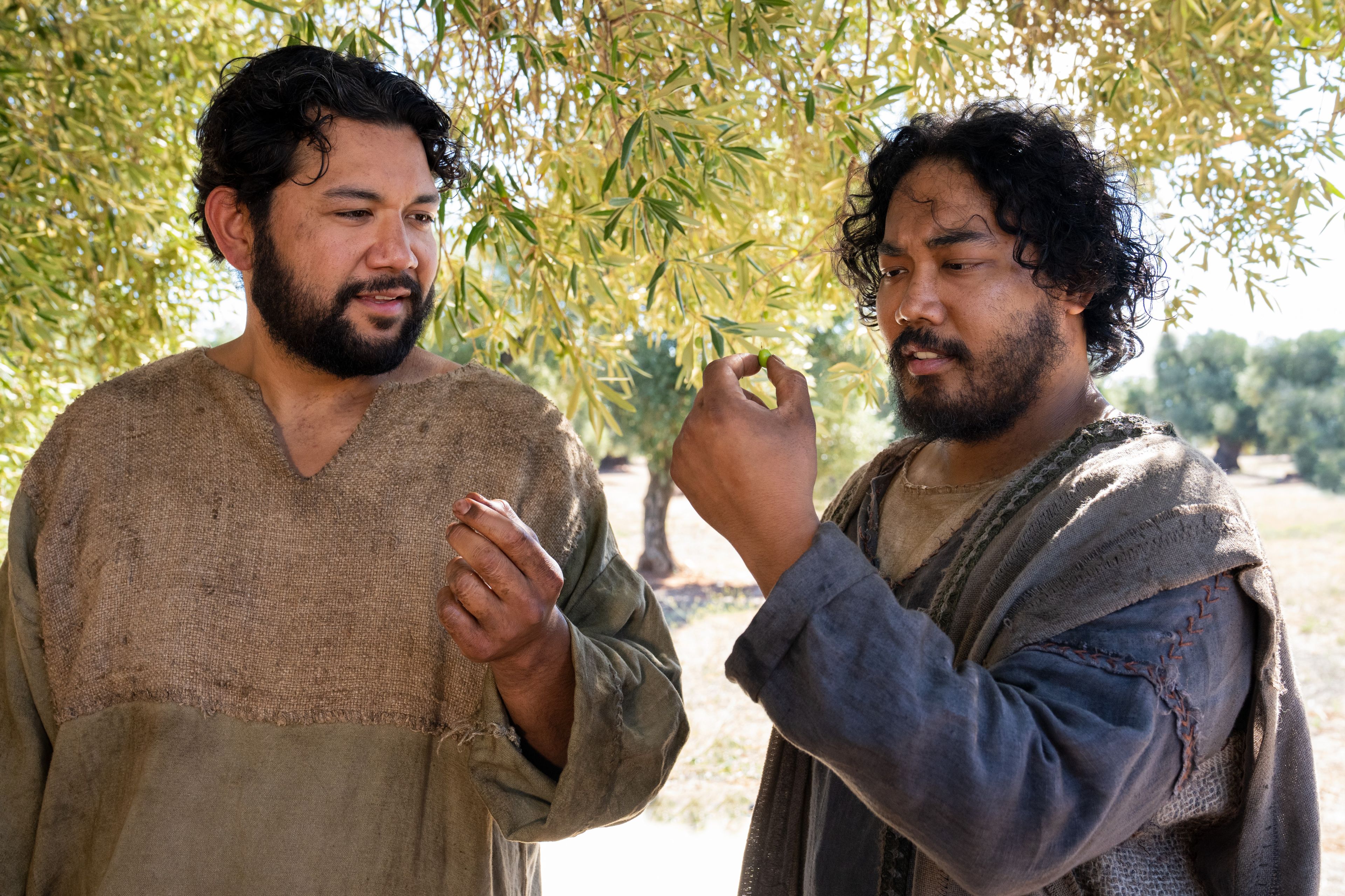 The Lord of the Vineyard and his servant inspect the mother olive tree and find good fruit. This is part of the olive tree allegory mentioned in Jacob 5.