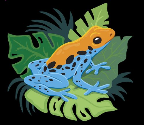 orange and blue frog