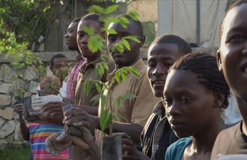 Planting trees in Haiti