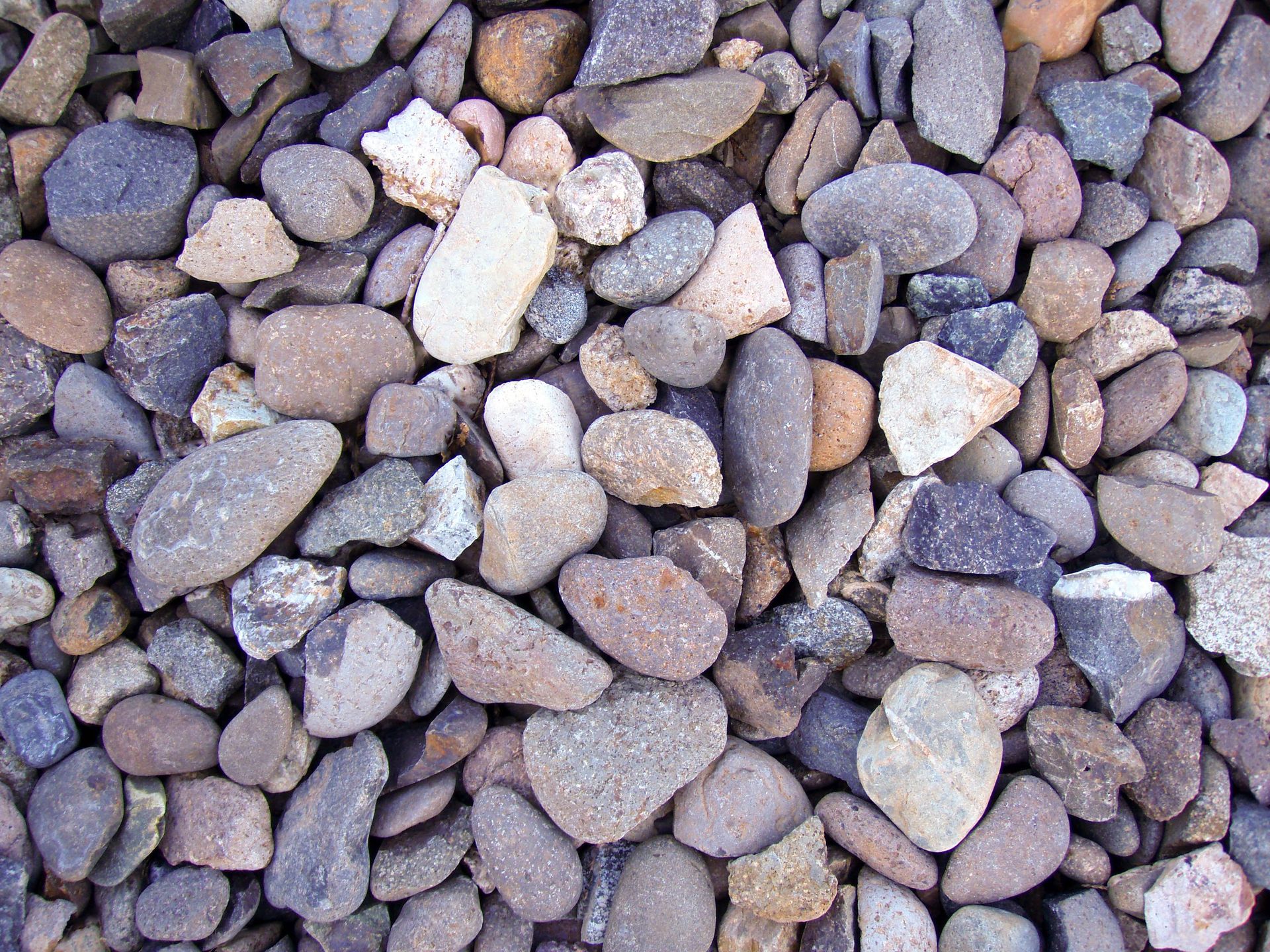 Detail of small gray and white rocks.