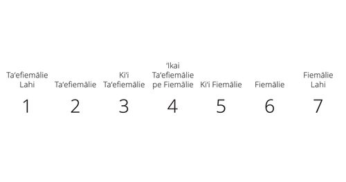 Tohi Lēsoni ʻo e Fuakava Foʻoú maʻá e Faiako Seminelí- (2023)