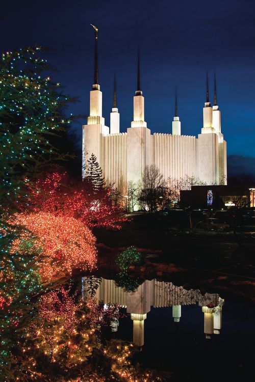 The entire Washington D.C. Temple lit up in the evening, with the reflecting pond in the foreground and trees on the grounds covered in Christmas lights.