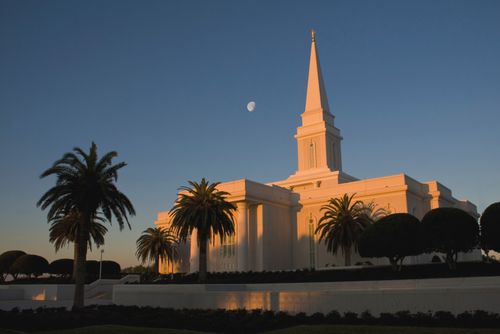 The Orlando Florida Temple at dusk with palm trees growing on the grounds and the moon rising to the left of the temple’s spire.