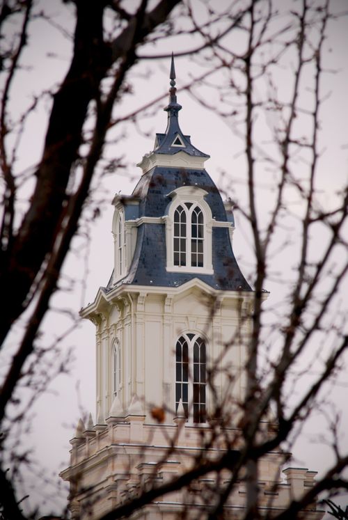 A spire from the Manti Utah Temple is seen through the branches of a tree.