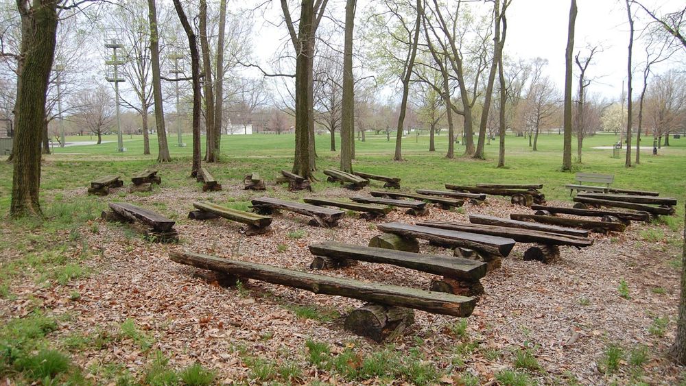 Outdoor wooded area with log benches lined up in a clearing.