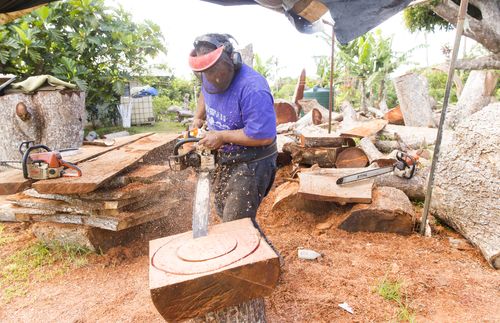 feinga cutting wood