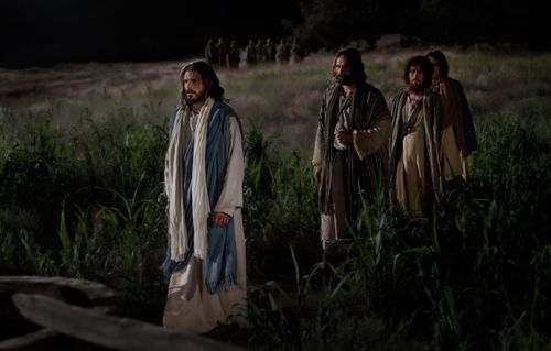 Matthew 26:36–56, Christ walks into the garden to pray