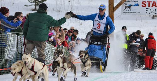 man dogsledding