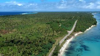 Vegetation and Coastline, Tonga