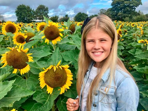 A young girl named LuLou standing in a sunflower field