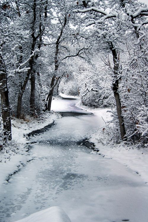 A path lined with trees, covered in ice and snow in the winter.