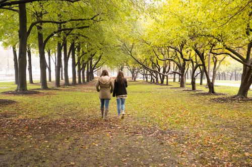 Two young woman walk through a tree lined path at Grant Park in Chicago.