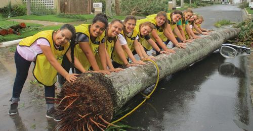 sister missionaries pushing a downed palm tree out of the way