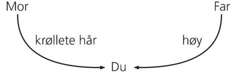 oversikt, arvede egenskaper