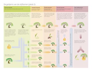 schema van de gelijkenis van de olijfboom