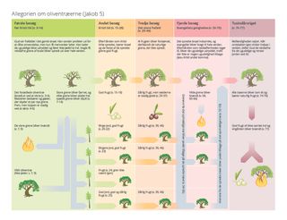 diagram over allegorien om oliventræet