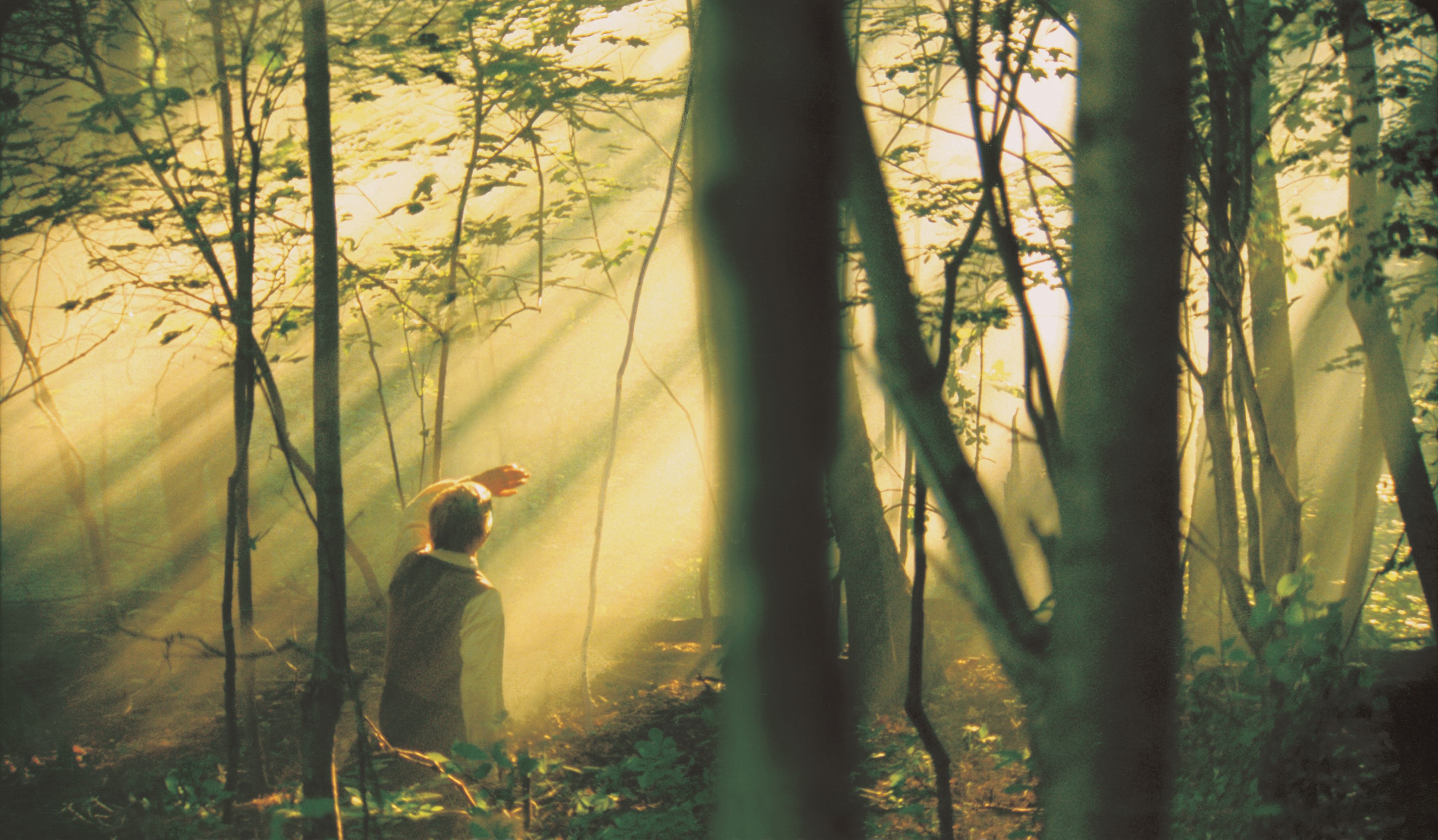 Joseph Smith Jr. kneeling in the Sacred Grove during the First Vision.