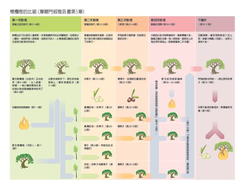 說明橄欖樹比喻的圖表