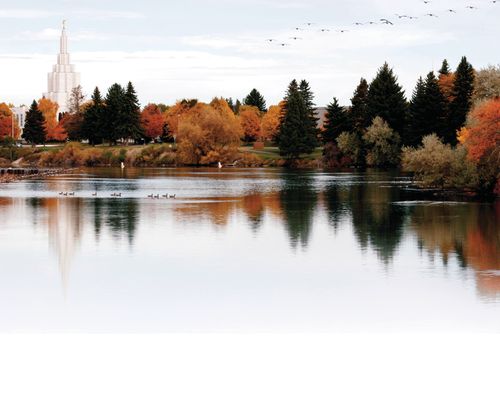 A fall scene of the Idaho Falls Idaho Temple, with ducks on a nearby river and birds flying overhead.