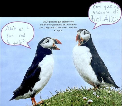 photo of puffins with speech bubble captions