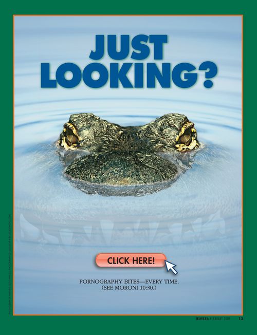 A conceptual photograph of a crocodile or alligator just below the surface of some water, with the words “Click Here!” on a button near his mouth and the words “Just Looking?” overhead.
