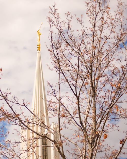 The spire on the Jordan River Utah Temple and the angel Moroni statue seen through the nearly bare branches of a nearby tree.