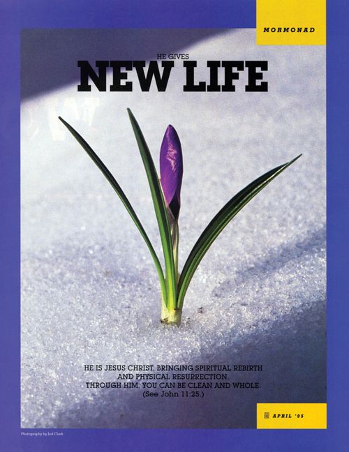 A conceptual photograph of a purple flower with green leaves growing through white snow, paired with the words “He Gives New Life.”