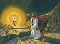 Moses and the burning bush