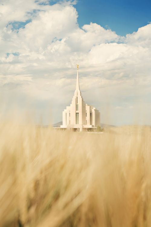 The entire Rexburg Idaho Temple, viewed from a wheat field, with a blue sky and clouds above.