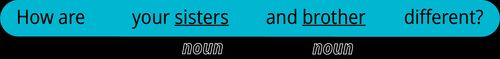 pattern 2 question how are your noun and noun different