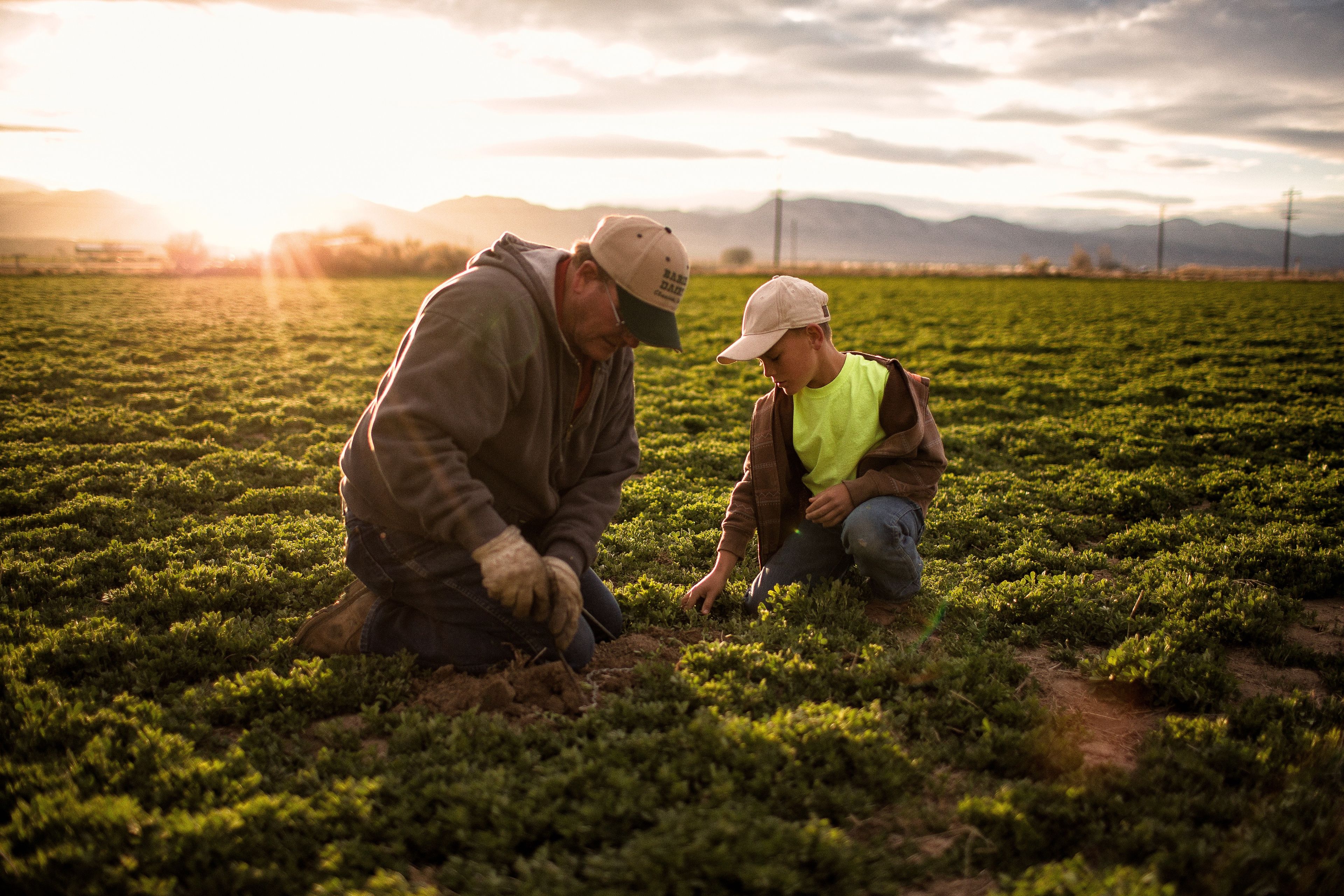 A man and young boy kneeling in a green field with the sun setting over the mountains.