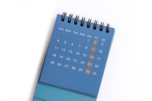 calendar with days circled