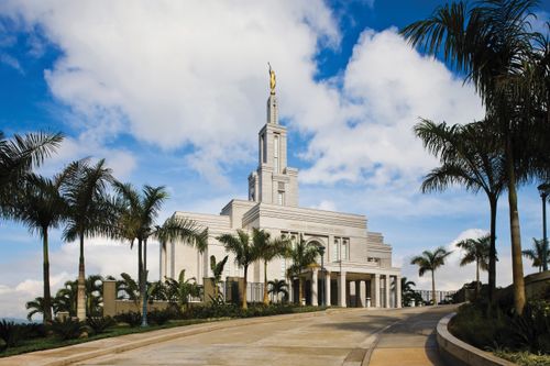 A road lined with palm trees leading up toward the Panama City Panama Temple, with a deep blue sky filled with white clouds.