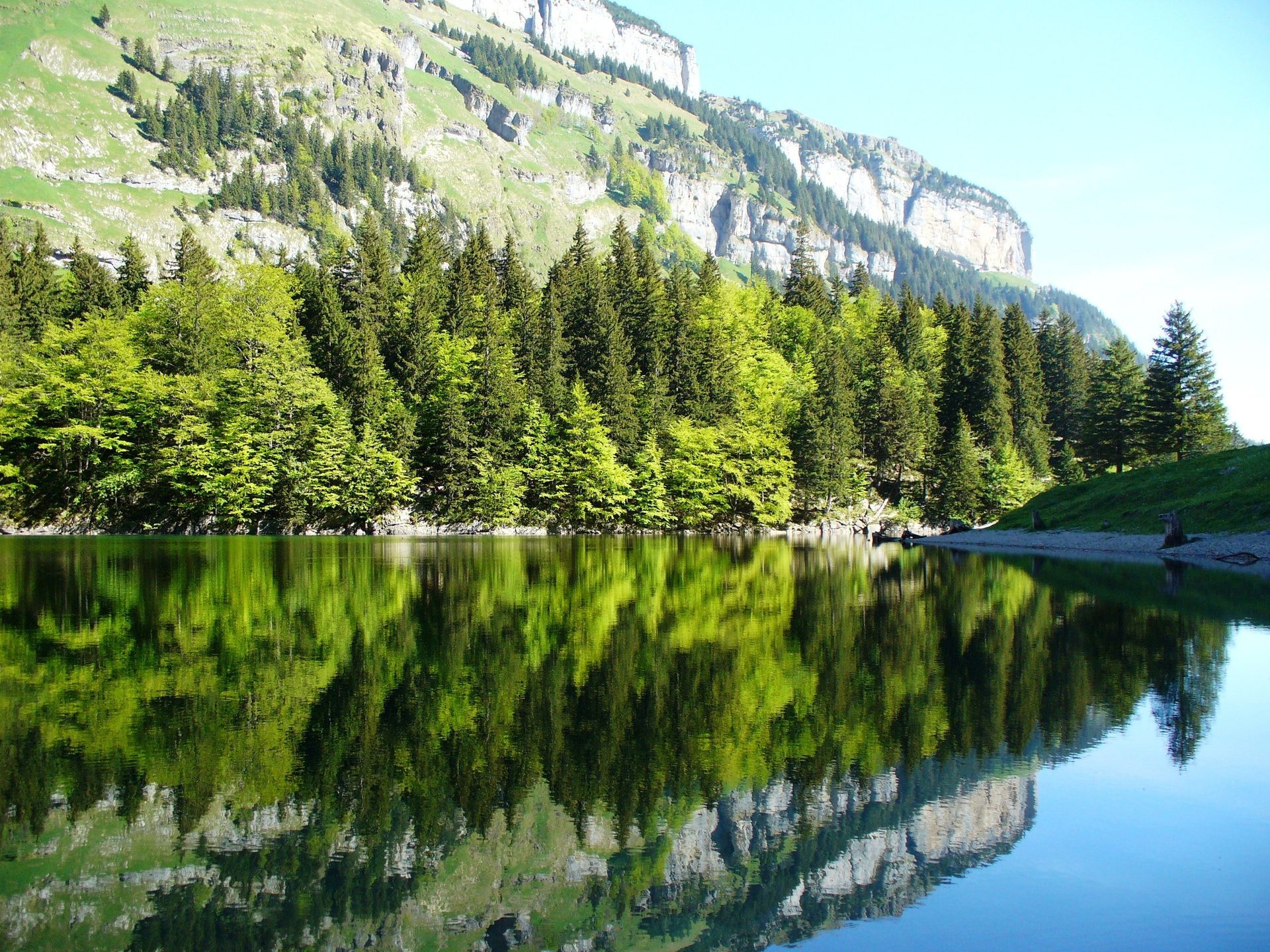 A mountain and pine trees are reflected in the lake.