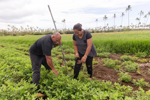 a couple working in a field