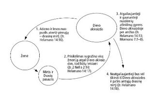 skritulinė schema