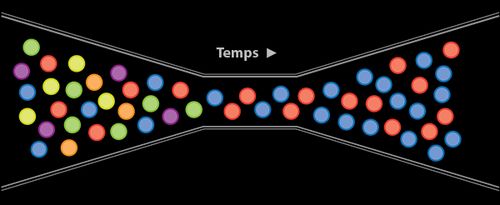 Illustration du goulot d’étranglement génétique