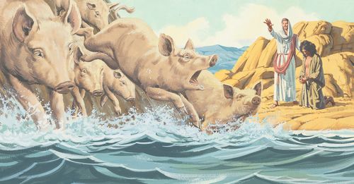 pigs running into sea