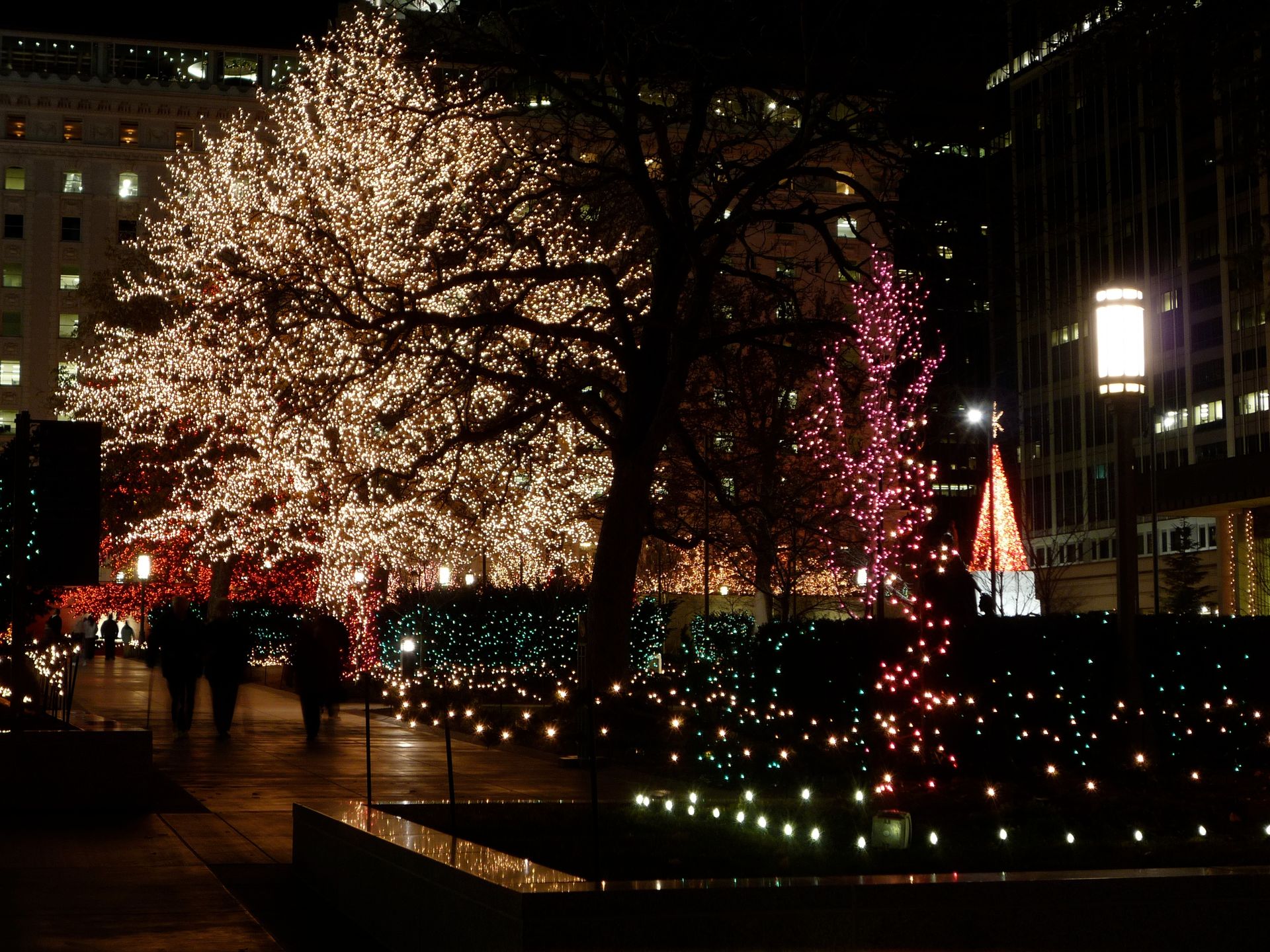 A view of a portion of the lights on Temple Square at night in December.  